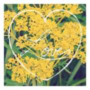 ヒメ日記 2026/02/25 21:19 投稿 あさひ 静岡人妻援護会