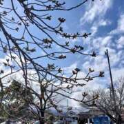 ヒメ日記 2026/03/20 00:18 投稿 あさひ 静岡人妻援護会