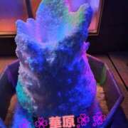 ヒメ日記 2026/07/29 20:49 投稿 華原 モアグループ所沢人妻城