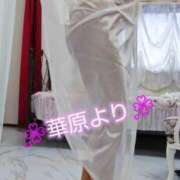 ヒメ日記 2026/08/31 09:09 投稿 華原 モアグループ所沢人妻城
