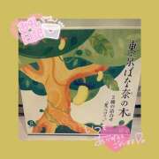 ヒメ日記 2025/02/23 10:56 投稿 ここあ【梅田堂山女学院】 梅田堂山女学院