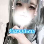 ヒメ日記 2025/03/14 11:04 投稿 ここあ【梅田堂山女学院】 梅田堂山女学院