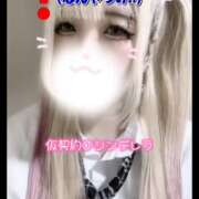 ヒメ日記 2025/04/20 11:02 投稿 ここあ【梅田堂山女学院】 梅田堂山女学院