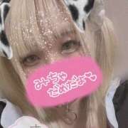 ヒメ日記 2025/05/03 10:54 投稿 ここあ【梅田堂山女学院】 梅田堂山女学院