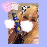 ヒメ日記 2025/06/07 11:59 投稿 ここあ【梅田堂山女学院】 梅田堂山女学院