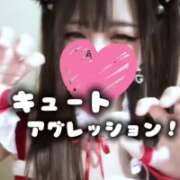 ヒメ日記 2025/12/23 10:36 投稿 ここあ【梅田堂山女学院】 梅田堂山女学院