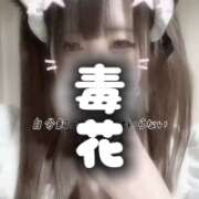 ヒメ日記 2026/02/05 12:03 投稿 ここあ【梅田堂山女学院】 梅田堂山女学院