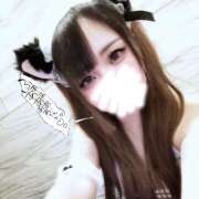 ヒメ日記 2026/02/20 11:00 投稿 ここあ【梅田堂山女学院】 梅田堂山女学院