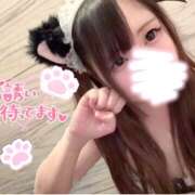 ヒメ日記 2026/02/21 10:47 投稿 ここあ【梅田堂山女学院】 梅田堂山女学院