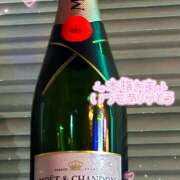 ヒメ日記 2026/03/16 10:48 投稿 ここあ【梅田堂山女学院】 梅田堂山女学院