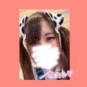 ヒメ日記 2026/03/29 10:43 投稿 ここあ【梅田堂山女学院】 梅田堂山女学院