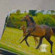 ヒメ日記 2025/08/10 19:44 投稿 るか CLUB DEEP