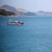 ヒメ日記 2026/02/15 10:57 投稿 れもん 熟女家 堺東店