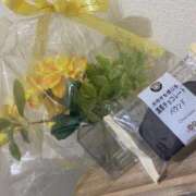 ヒメ日記 2025/06/10 03:16 投稿 ゆな 新潟デリヘル倶楽部