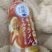 ヒメ日記 2026/02/17 16:56 投稿 ゆな 新潟デリヘル倶楽部