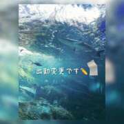 ヒメ日記 2025/08/06 17:06 投稿 のあ 新宿泡洗体デラックスエステ