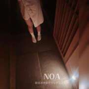 ヒメ日記 2025/09/23 16:15 投稿 のあ 新宿泡洗体デラックスエステ