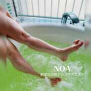 ヒメ日記 2025/12/06 12:00 投稿 のあ 新宿泡洗体デラックスエステ