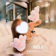 ヒメ日記 2026/02/22 12:56 投稿 のあ 新宿泡洗体デラックスエステ