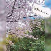 ヒメ日記 2026/04/02 16:01 投稿 のあ 新宿泡洗体デラックスエステ