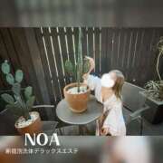 ヒメ日記 2026/04/03 11:00 投稿 のあ 新宿泡洗体デラックスエステ