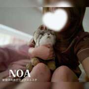 ヒメ日記 2026/09/10 11:15 投稿 のあ 新宿泡洗体デラックスエステ