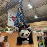 ヒメ日記 2024/12/20 19:43 投稿 みき 五反田・品川おかあさん