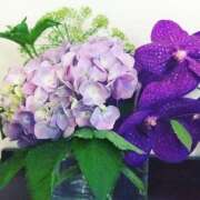 みき 7/11のお礼です 五反田・品川おかあさん