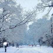 ヒメ日記 2025/12/31 20:29 投稿 愛華(あいか) 麗しい人妻 新宿本店