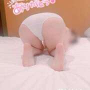 ヒメ日記 2025/03/17 16:04 投稿 流菜(るな) 可憐な妻たち 太田店