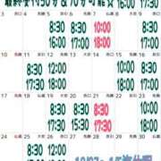 ヒメ日記 2023/12/10 15:38 投稿 ミント 桃李（とうり）