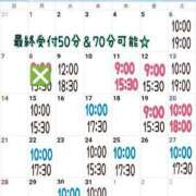 ヒメ日記 2024/01/09 16:45 投稿 ミント 桃李（とうり）