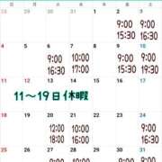 ヒメ日記 2024/07/31 08:30 投稿 ミント 桃李（とうり）