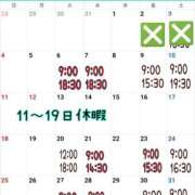 ヒメ日記 2024/08/05 18:45 投稿 ミント 桃李（とうり）