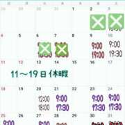 ヒメ日記 2024/08/09 10:24 投稿 ミント 桃李（とうり）