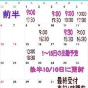 ヒメ日記 2024/09/24 07:35 投稿 ミント 桃李（とうり）