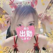 ヒメ日記 2024/12/24 10:04 投稿 ミント 桃李（とうり）