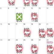 ヒメ日記 2024/12/28 07:48 投稿 ミント 桃李（とうり）