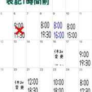 ヒメ日記 2025/01/19 22:24 投稿 ミント 桃李（とうり）