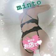 ヒメ日記 2025/02/17 06:54 投稿 ミント 桃李（とうり）