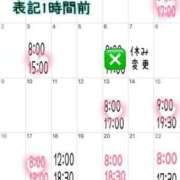 ヒメ日記 2025/02/17 19:52 投稿 ミント 桃李（とうり）