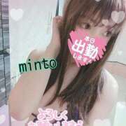 ヒメ日記 2025/02/18 06:54 投稿 ミント 桃李（とうり）