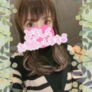 ヒメ日記 2025/02/20 06:44 投稿 ミント 桃李（とうり）