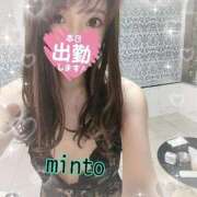 ヒメ日記 2025/03/13 06:54 投稿 ミント 桃李（とうり）