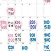 ヒメ日記 2025/03/13 10:24 投稿 ミント 桃李（とうり）