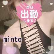 ヒメ日記 2025/04/17 08:14 投稿 ミント 桃李（とうり）