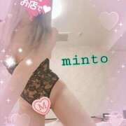 ヒメ日記 2025/04/26 07:34 投稿 ミント 桃李（とうり）