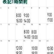 ヒメ日記 2025/04/29 07:54 投稿 ミント 桃李（とうり）