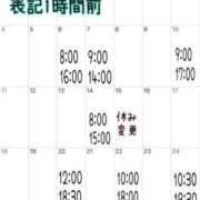 ヒメ日記 2025/05/06 06:44 投稿 ミント 桃李（とうり）