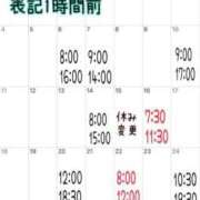 ヒメ日記 2025/05/08 19:44 投稿 ミント 桃李（とうり）